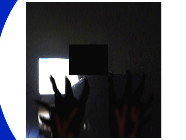 tl3 photo